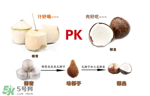 椰子怎么打開？椰子殼怎樣打開