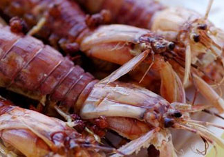 哺乳期能吃蝦爬子嗎？喂奶可以吃蝦爬子嗎？