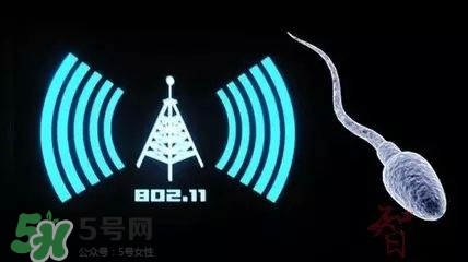 wifi殺精嗎？wifi殺精是真的嗎？