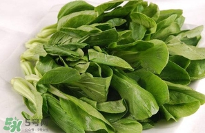 雞毛菜怎么做？雞毛菜的做法