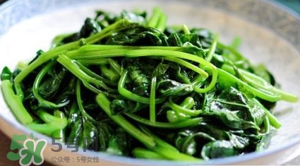 苕尖是發(fā)物嗎？苕尖是不是發(fā)物