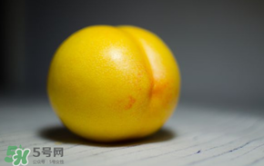 黃金油桃多少錢一斤？黃金油桃什么時候成熟？