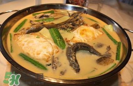 泥鰍怎么燒？泥鰍的吃法