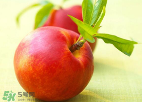 油桃可以放冰箱嗎？油桃能放冰箱嗎？