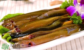 怎么處理泥鰍？泥鰍怎么處理干凈