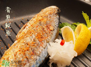 2017鲅魚多少錢一斤？鲅魚多少錢一斤2017？