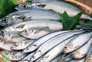 2017鲅魚多少錢一斤？鲅魚多少錢一斤2017？