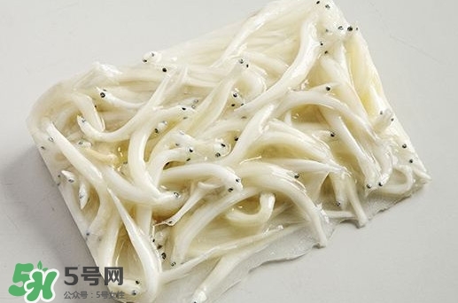 面條魚是什么魚？面條魚是海水魚嗎