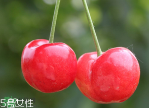 櫻桃籽有毒嗎？櫻桃籽能吃嗎？