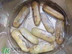 怎么樣讓蟶子吐沙？如何讓蟶子吐沙