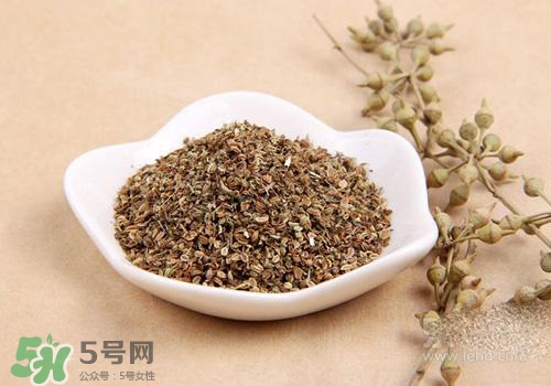 吃中藥可以吃魚？吃中藥吃魚會怎么樣？