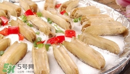 蟶子死了是什么樣子？死蟶子是什么樣子