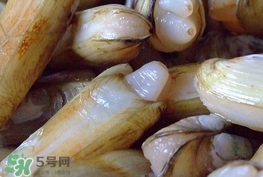 蟶子是海鮮嗎？蟶子是海鮮還是河鮮