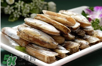 蟶子是海鮮嗎？蟶子是海鮮還是河鮮