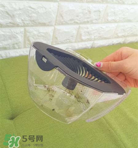 inadays滅蚊燈有用嗎？inadays滅蚊燈有效果嗎？