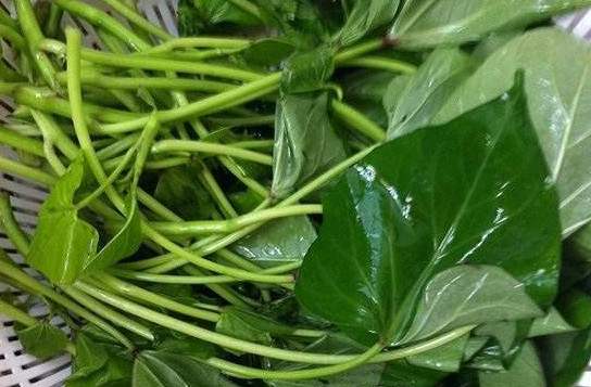 苕尖孕婦能吃嗎？苕尖孕婦可以吃嗎