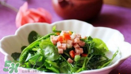 番薯葉怎么炒好吃？番薯葉的做法