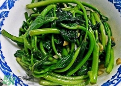 苕尖怎么摘？苕尖怎么擇