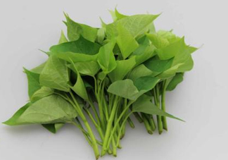 番薯葉是紅薯葉嗎？番薯葉和紅薯葉的區(qū)別