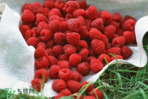 刺泡怎么保存？刺泡保存方法