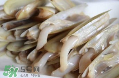 蟶子死了是什么樣子？死蟶子是什么樣子