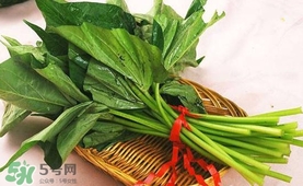 苕尖怎么炒？苕尖的做法