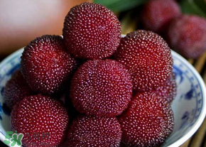 楊梅為什么有蟲子？楊梅有蟲能吃嗎？