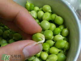 新鮮豌豆發(fā)芽了能吃嗎？豌豆發(fā)芽了還能吃嗎？