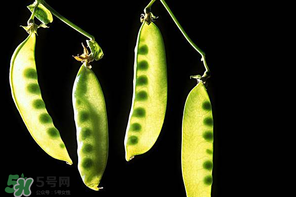 嫩豌豆能生吃嗎？為什么嫩豌豆可以生吃？