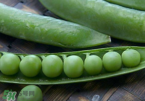 剝好的豌豆怎么保存？剝好的豌豆米怎么保存？