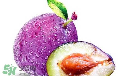 新鮮烏梅能直接吃嗎？新鮮烏梅能不能直接吃