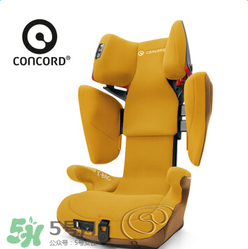 concord中文是什么？concord的中文名字怎么翻譯？