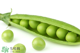 生豌豆有毒嗎？豌豆生吃有毒嗎？