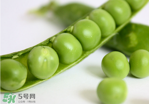 生豌豆有毒嗎？豌豆生吃有毒嗎？