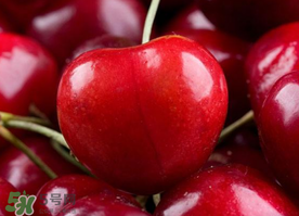 新鮮櫻桃如何保存？新鮮櫻桃能放多久？