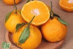 丑八怪是橙子嗎？丑八怪是不是橙子