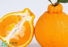 丑八怪水果多少錢一斤？不知火雜柑一斤多少錢