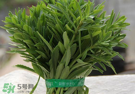 救心菜有毒嗎？救心菜怎么吃沒毒？