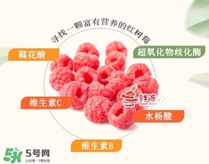 樹莓可以生吃嗎？樹莓怎么吃？