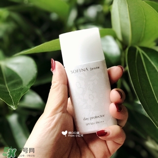 蘇菲娜白蕾絲多少錢(qián)？蘇菲娜白蕾絲日本價(jià)格