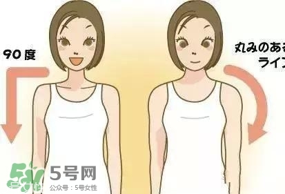 天鵝臂是什么？天鵝臂有用嗎