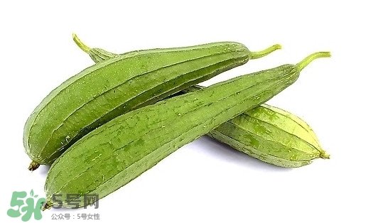 孕婦能吃絲瓜嗎？孕婦能不能吃絲瓜