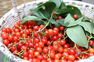 櫻桃不洗能吃嗎？沒(méi)洗的櫻桃可以吃嗎