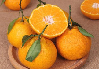 丑八怪是橙子嗎？丑八怪是不是橙子