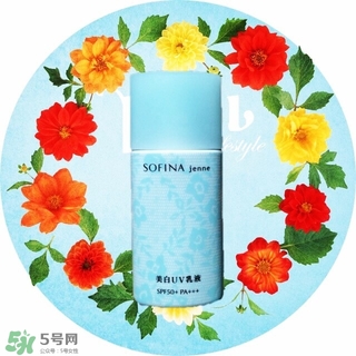 蘇菲娜藍蕾絲和藍小花哪個好？蘇菲娜藍蕾絲和藍小花對比