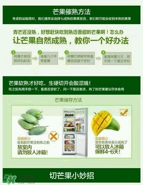 貴妃芒果硬的能吃嗎？貴妃芒果青的能吃嗎