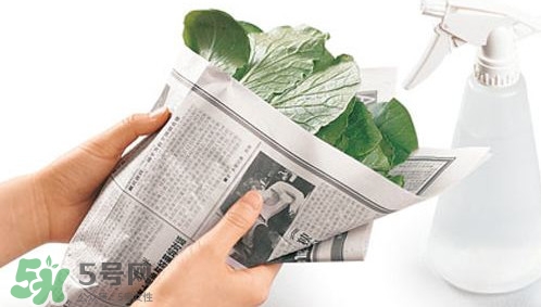 夏天蔬菜怎么保鮮？夏天蔬菜如何保鮮