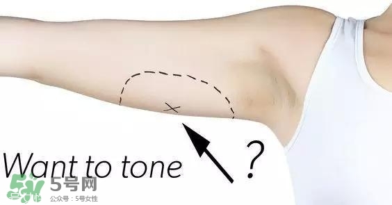 天鵝臂是什么？天鵝臂有用嗎