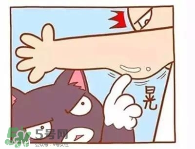 天鵝臂是什么？天鵝臂有用嗎