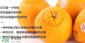 丑八怪水果多少錢一斤？不知火雜柑一斤多少錢